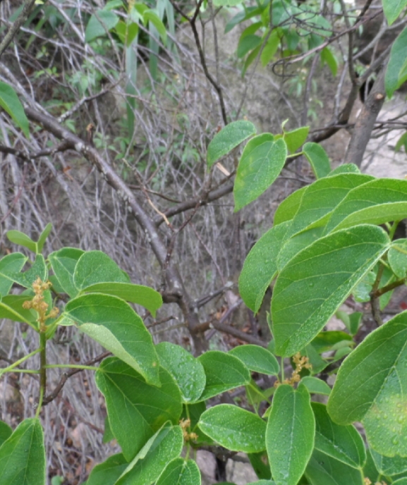 三亿体育在线登录