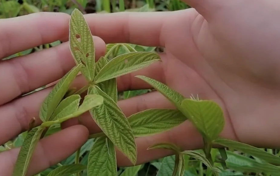 三亿体育在线登录