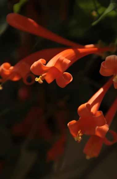 三亿体育在线登录