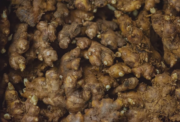 三亿体育在线登录