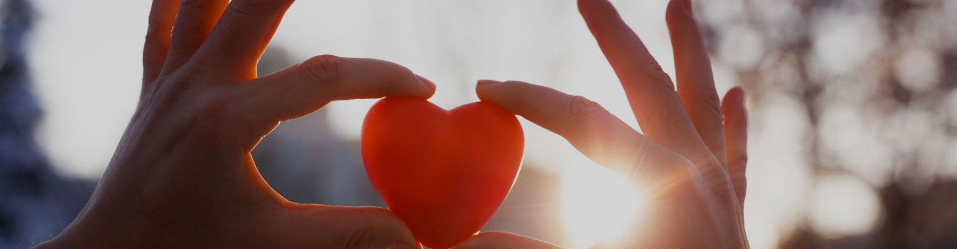 三亿体育在线登录