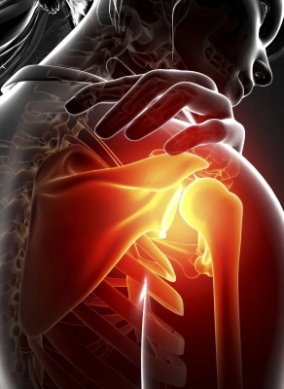 三亿体育在线登录