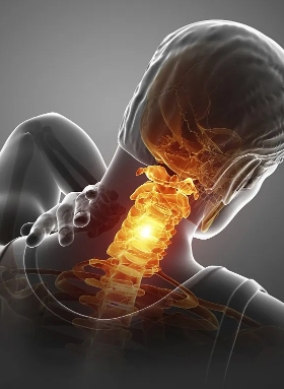 三亿体育在线登录