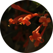 三亿体育在线登录