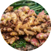 三亿体育在线登录